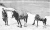 19th Century Antique Horse Snowshoe