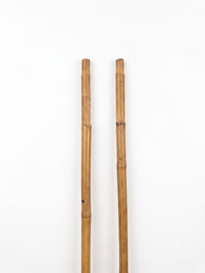 Vintage bamboo ski poles
