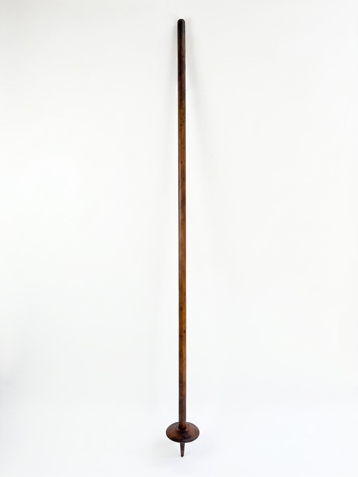 Antique Ski Pole, Push Stick