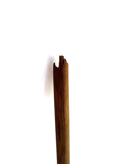 Antique Ski Pole, Push Stick