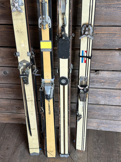 Vintage White Skis - Group