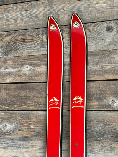 Vintage Fischer Downhill Skis