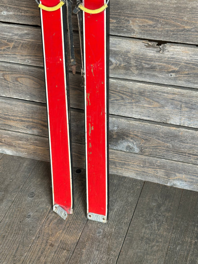 Vintage Fischer Downhill Skis