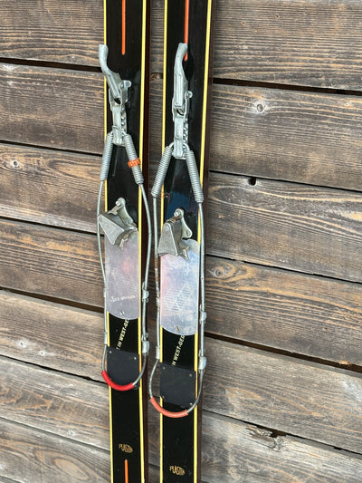 Antique Vostra skis