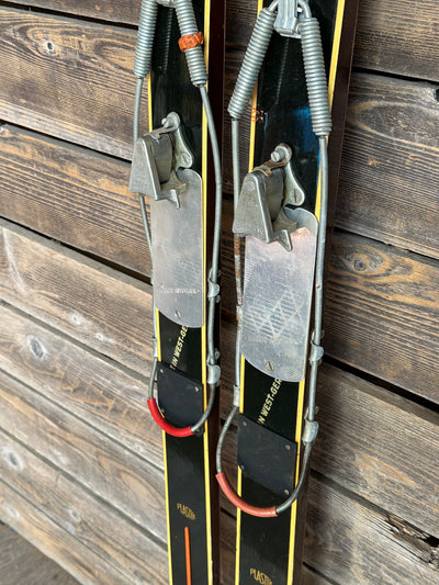 Antique Vostra skis