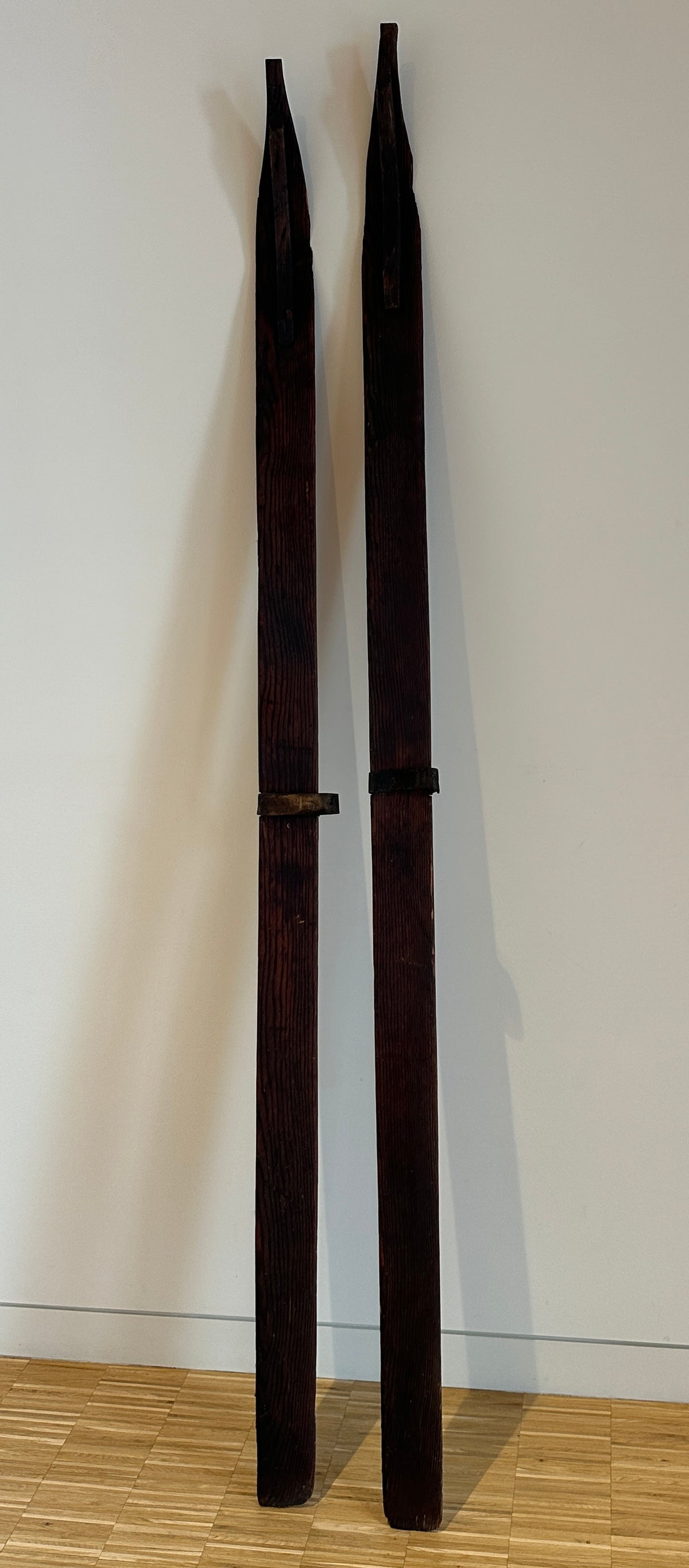 Primitive Transportation Snow Skis