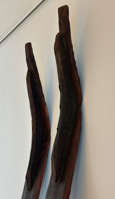 Primitive Transportation Snow Skis