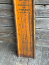 Skeeboggan - Original Metal Stand Up Sled - Snowboard