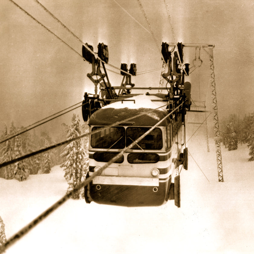 VintageWinter