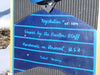 Vintage Snowboard Collection