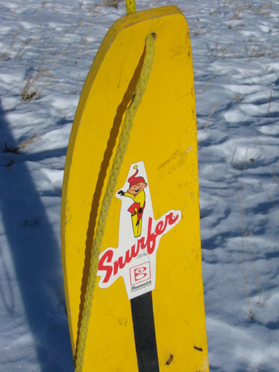 Vintage Snowboard Collection