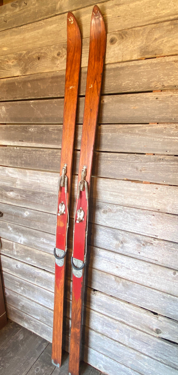 Gregg FIS Slalom Skis