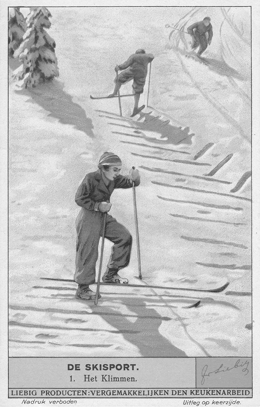 Skisport discount