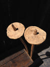 Primitive Ski Poles