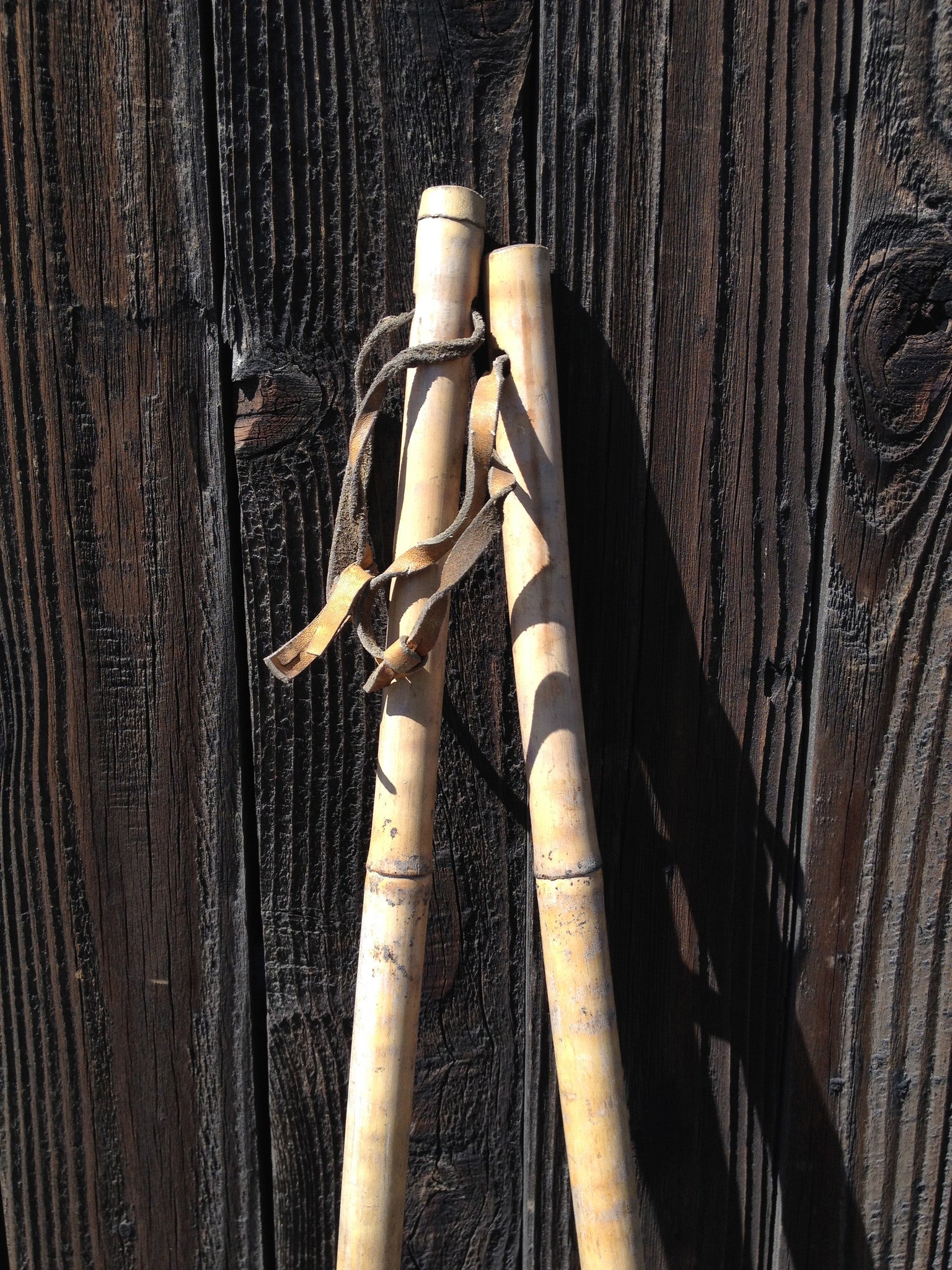 Vintage Tiger Striped Bamboo - Childrens Ski Poles