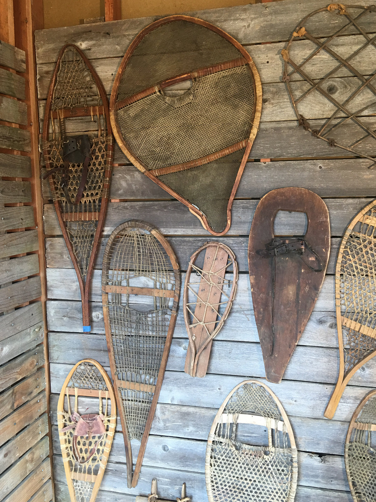 Vintage Snowshoe Collection (Singles) - Snowshoe Wall Art - VintageWinter