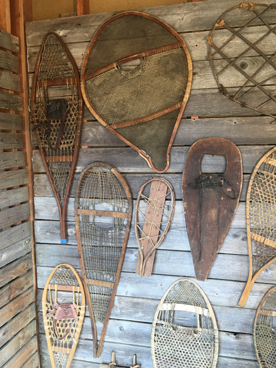 Vintage Snowshoe Collection (Singles) - Snowshoe Wall Art