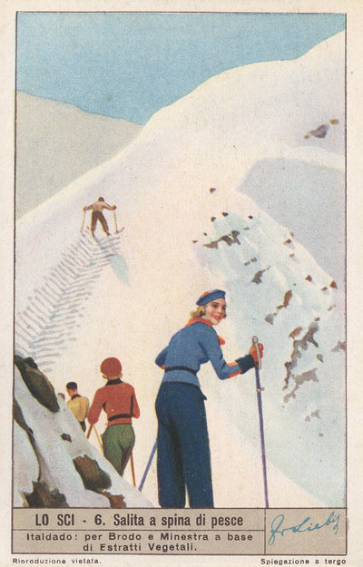 Vintage Skiing Poster - Salita a spina di pesce