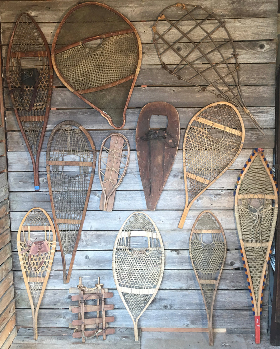 Vintage Snowshoe Collection (Singles) - Snowshoe Wall Art