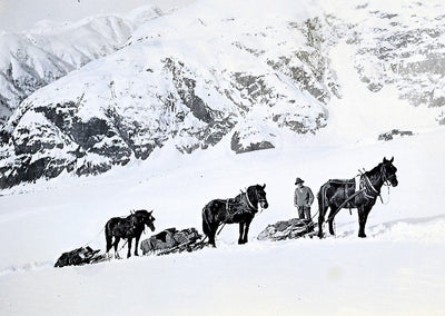 19th Century Horse Snowshoe