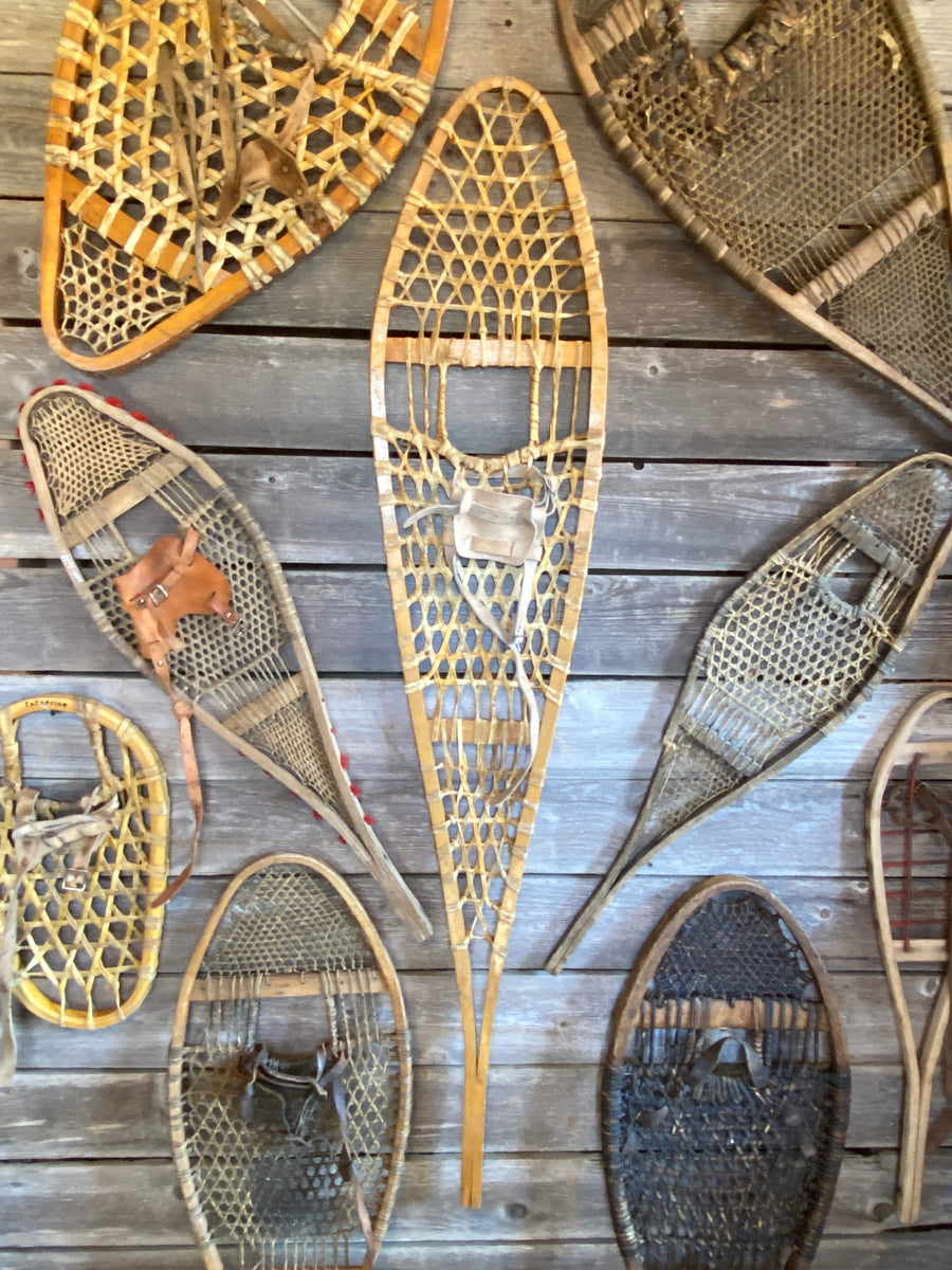 Antique Snowshoes Collection (Singles)
