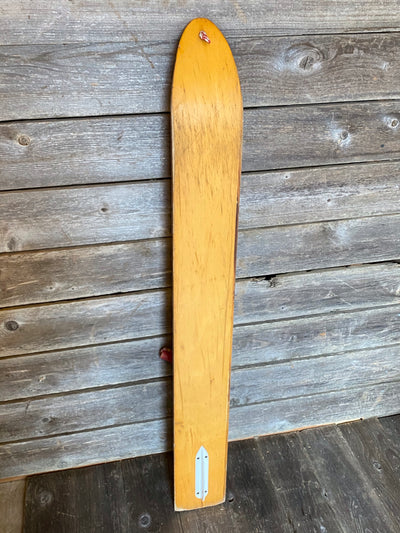Vintage Snow Skimmer by Marina