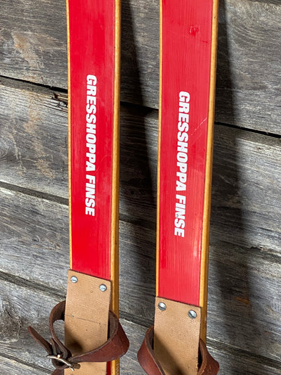 Norwegian Gresshoppa Childs Skis
