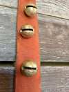 Sleigh Bells - Strap of 25 Bells attached to 84 in Vintage Leather Strap