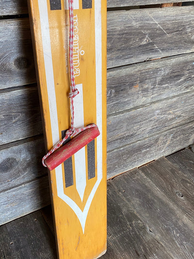 Vintage Snow Skimmer by Marina
