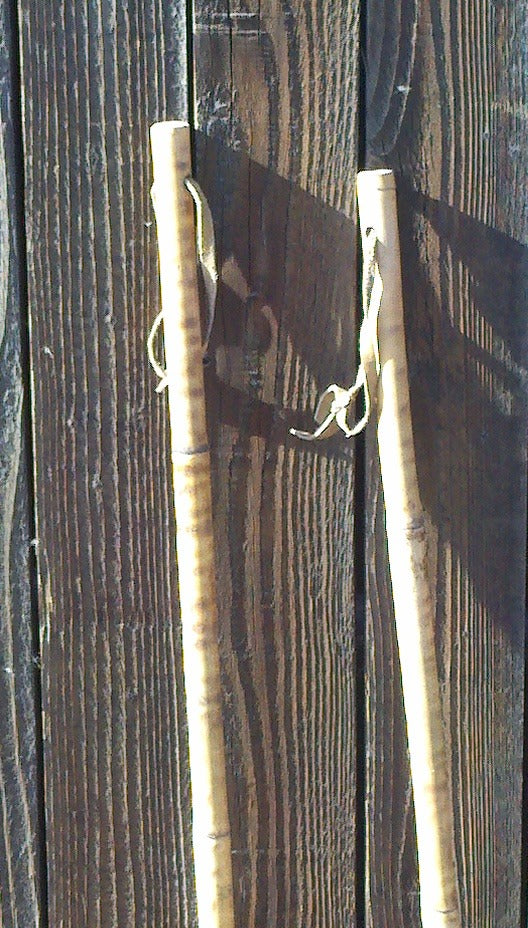 Vintage Tiger Striped Bamboo - Childrens Ski Poles