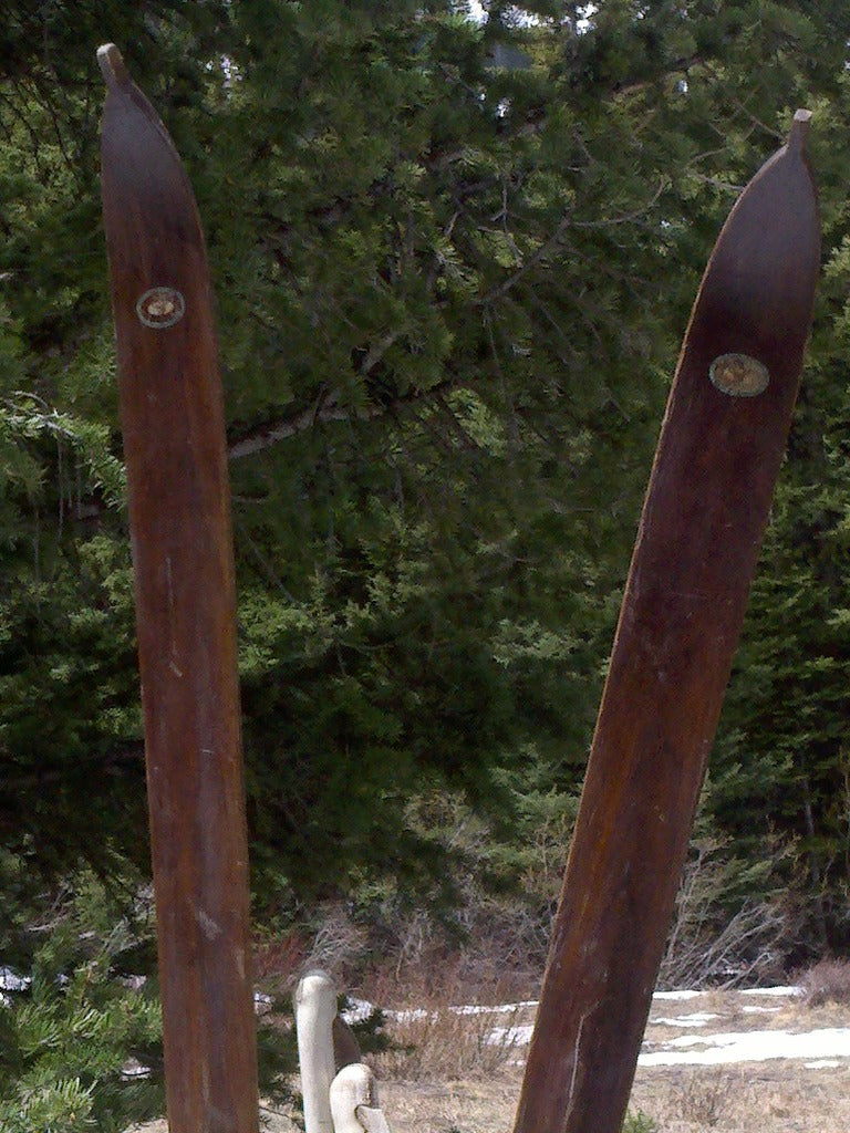 Northland Ridgetop Skis and Bamboo Poles