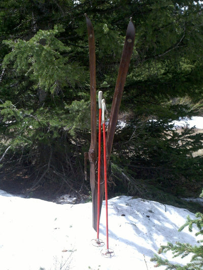 Northland Ridgetop Skis and Bamboo Poles